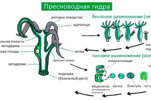 Кракен даркнет что известно