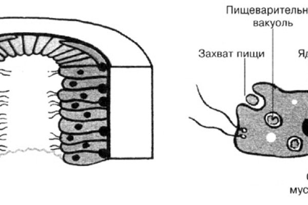 Кракен 16 даркнет продаж